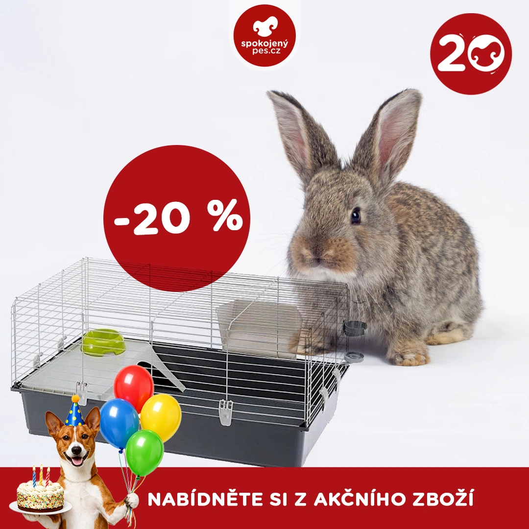 akční březen_31_CZ.webp